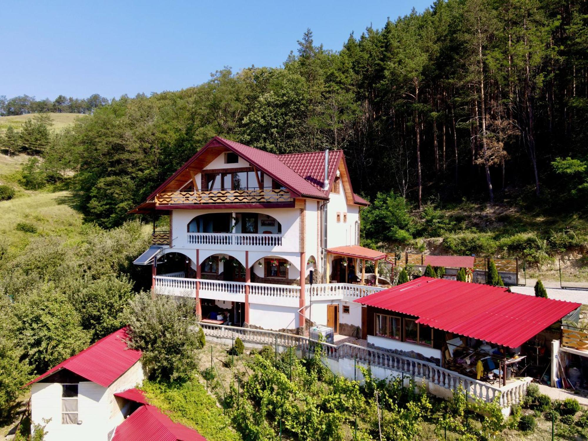 Vila Victoria Pangarati Екстер'єр фото